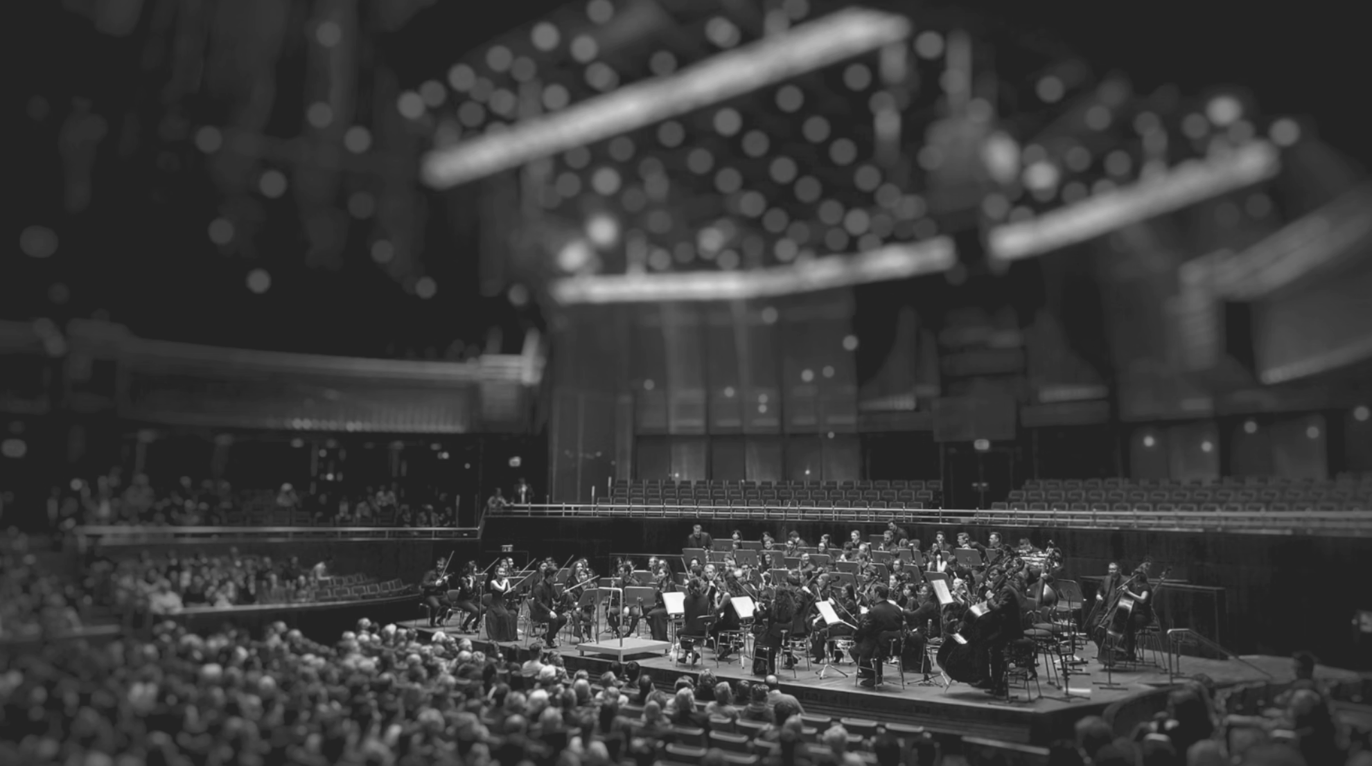 Photo Concert Emotions Sonores Salle Gens Musique 